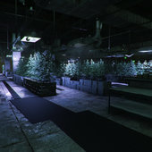 Small square