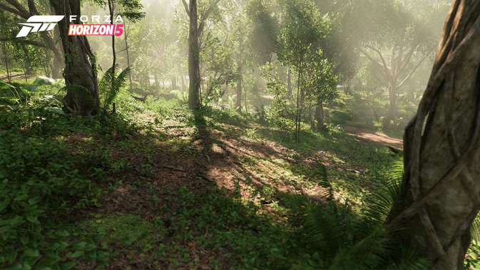 Der Dschungel in Forza Horizon 5
