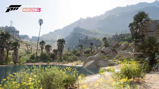 Die lebende Wüste in Forza Horizon 5