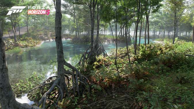 Der Sumpf in Forza Horizon 5