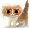 Avatar von mamabear
