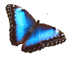 Avatar von Tetrapack