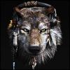 Avatar von Wolfseye Avatar von Wolfseye