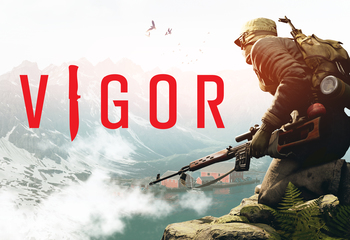 Vigor-Bild