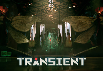 Transient-Bild