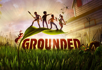 Grounded-Bild