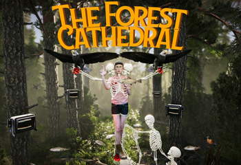 The Forest Cathedral-Bild