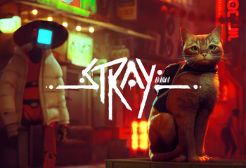 Stray-Bild
